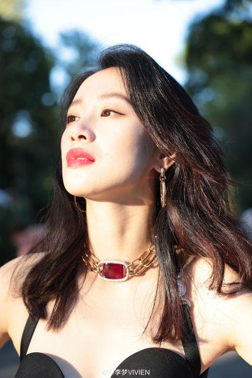 李梦图片爆料最新视频,揭秘幕后故事与精彩瞬间